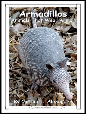 cover image of Armadillos